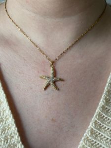 Deniz Yıldızı Kolye