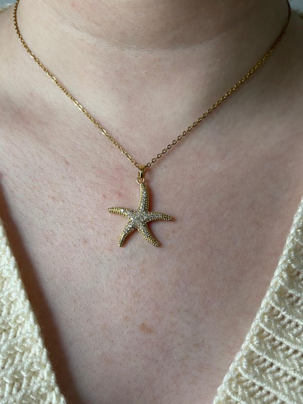 Deniz Yıldızı Kolye 1