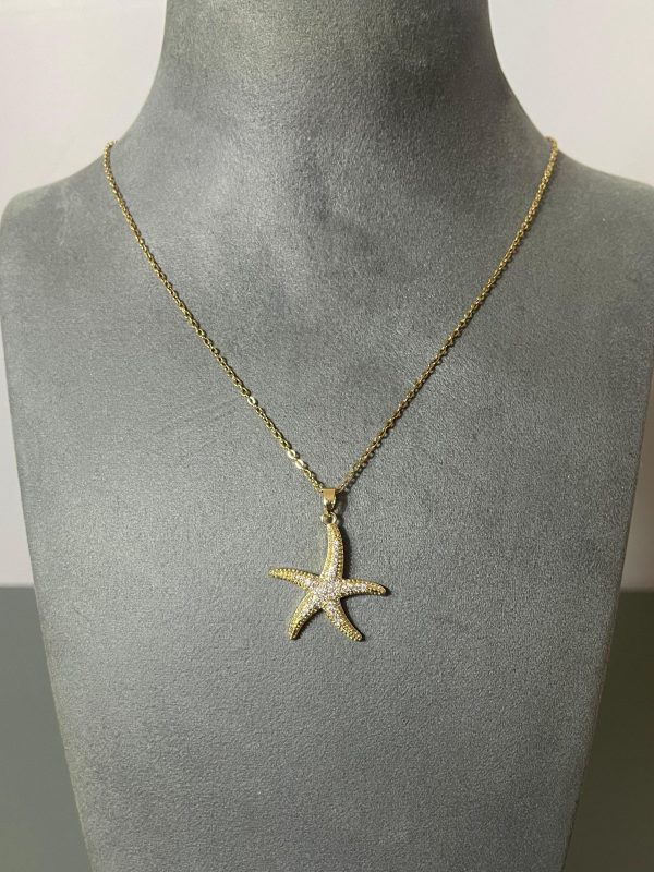 Deniz Yıldızı Kolye 2